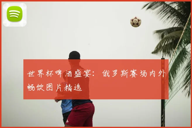 世界杯啤酒盛宴：俄罗斯赛场内外畅饮图片精选