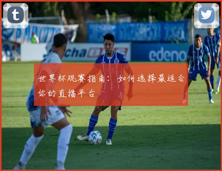 世界杯观赛指南：如何选择最适合你的直播平台