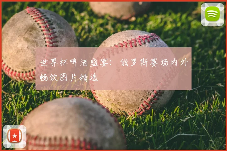 世界杯啤酒盛宴：俄罗斯赛场内外畅饮图片精选