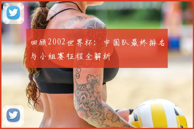 回顾2002世界杯：中国队最终排名与小组赛征程全解析