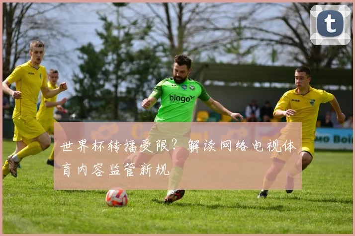 世界杯转播受限？解读网络电视体育内容监管新规