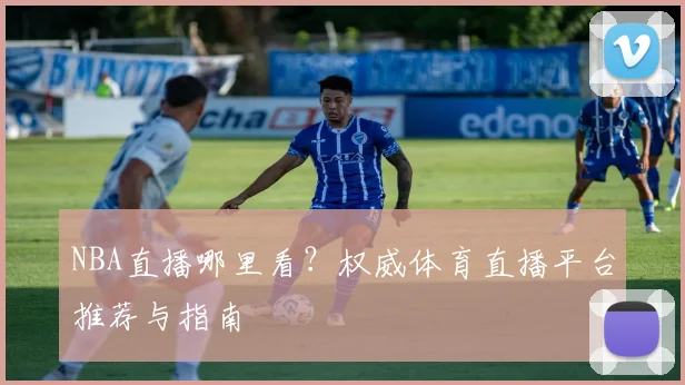 NBA直播哪里看？权威体育直播平台推荐与指南